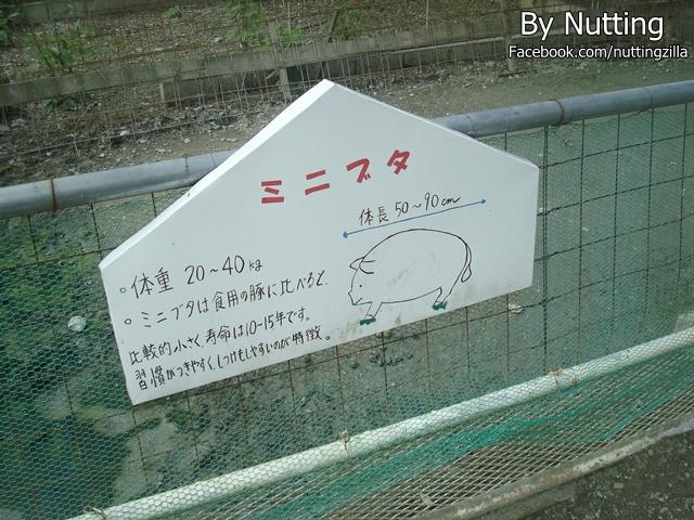 DSC04020.JPG